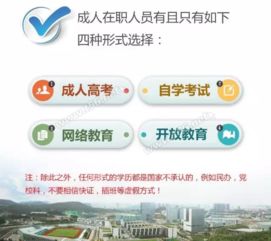 深耕教育十余載 當(dāng)前教育咨詢(xún)熱點(diǎn)解析與實(shí)用建議